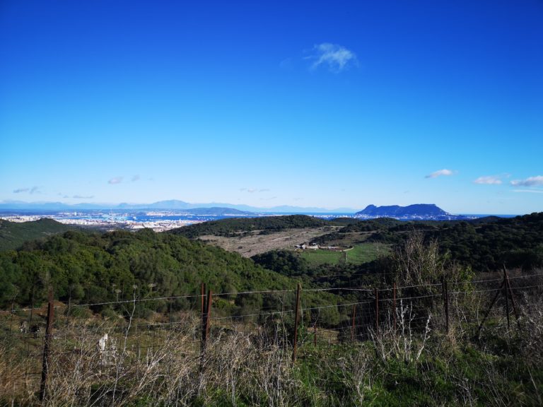 Las Pantallas Militares en Algeciras